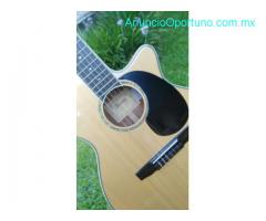 Guitarra Electroacústica Ibañez Aeg10nii, Color Natural (nt)